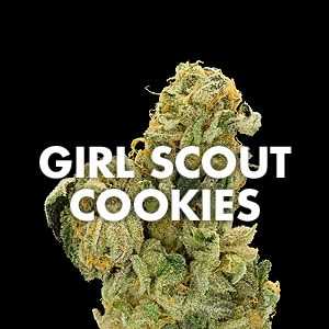 marijuana_strain_girl_scout_cookies