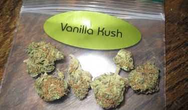 vanilla_kush_marijuana_strain-650x380_opt
