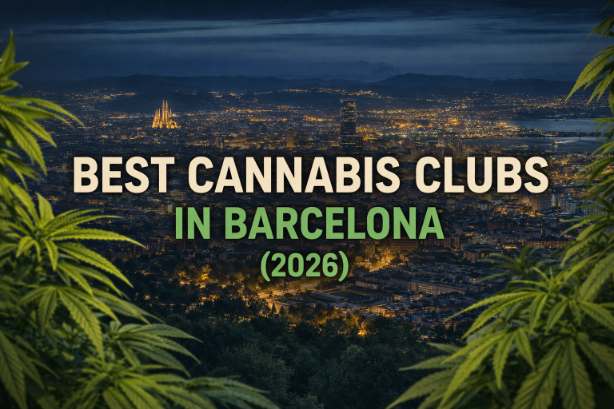 Best cannabis clubs in Barcelona 2026